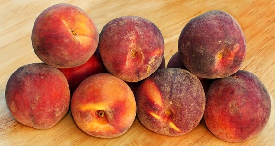 Prunus persica fruit fresh