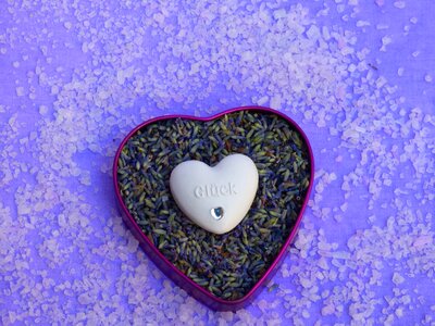 Lavender luck purple