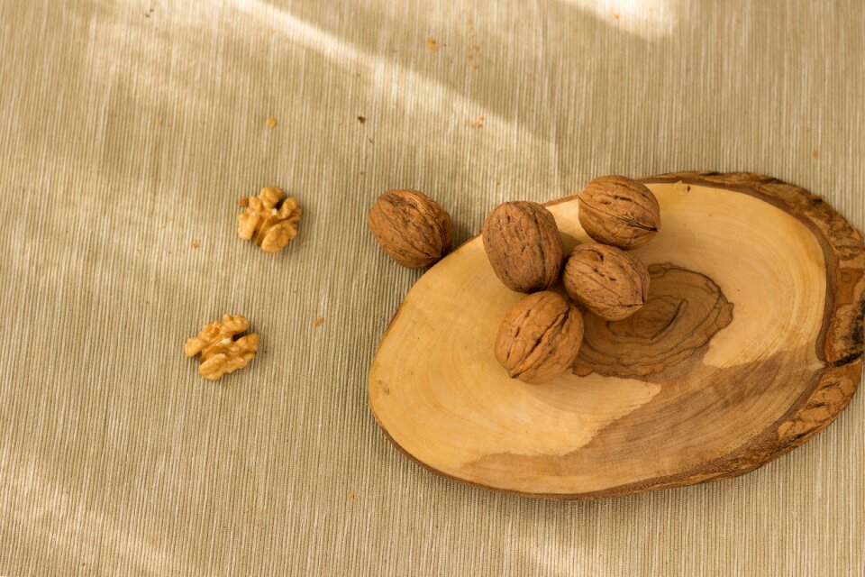 Nutrition dried fruits and nuts terry