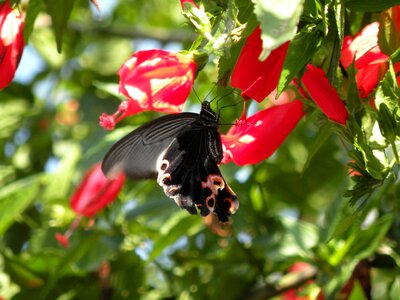 Nature spring