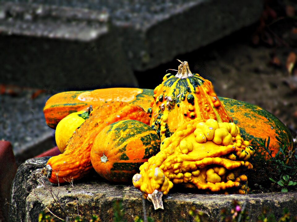 Nature autumn collections