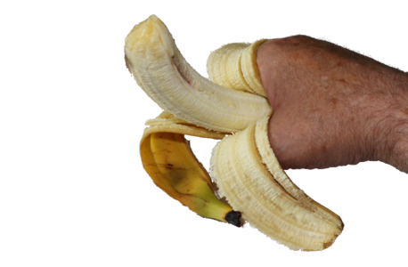Organic nutrition dessert