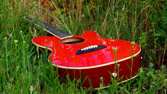 Musical instrument nature music