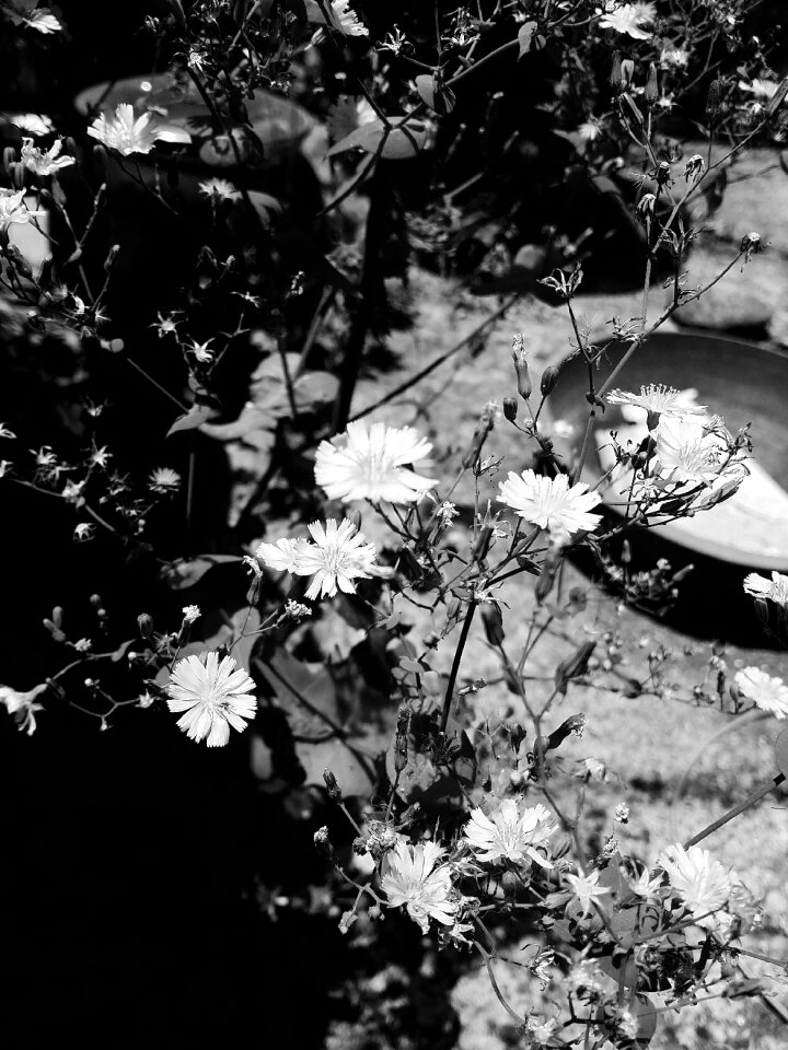 Break leaves nature