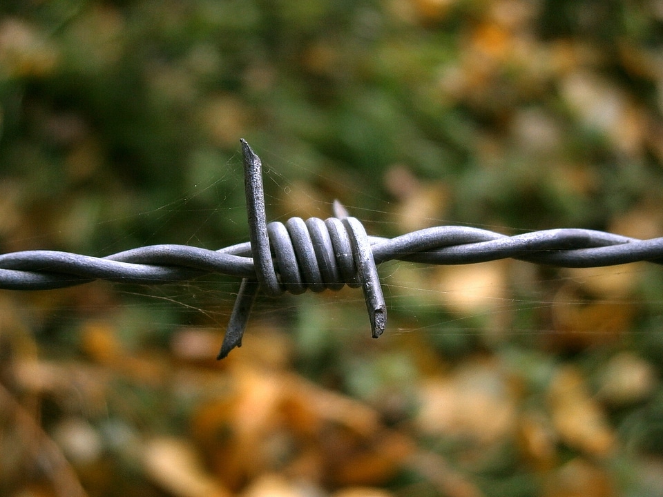 Cobwebs pointed security