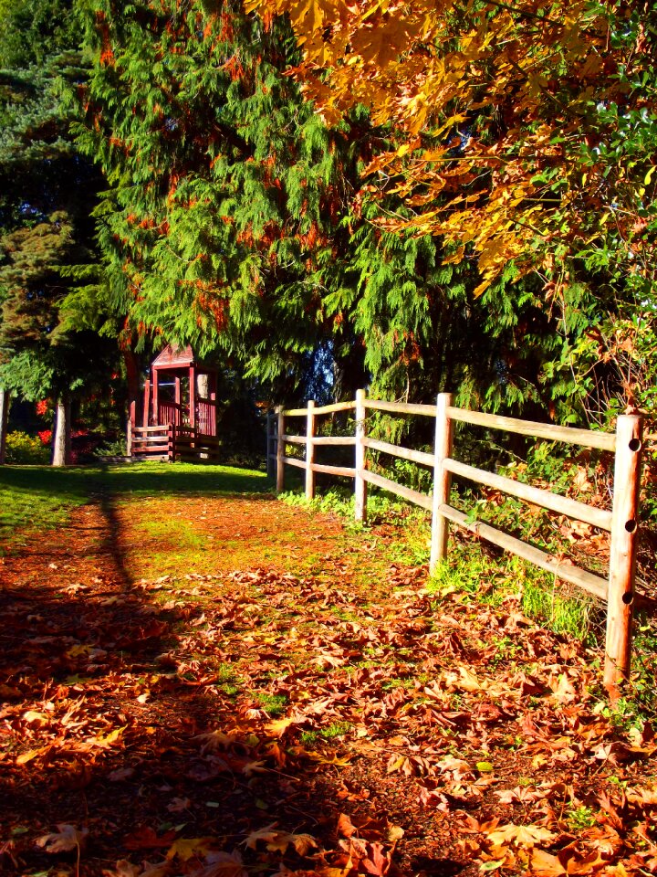 Green outdoor landscape