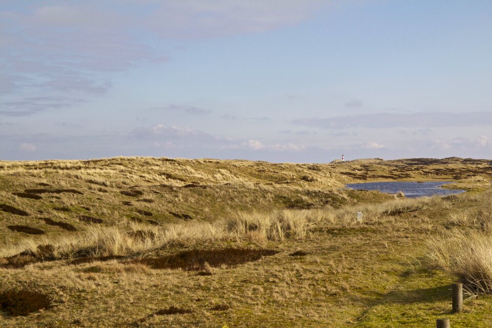 Landscape nature coast