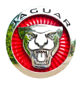 Logo automotive chrome