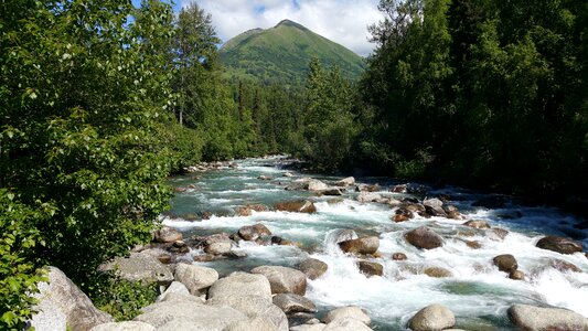 Stream scenery tranquil