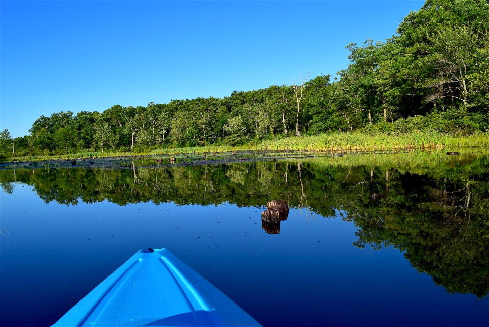 Water reflection calm