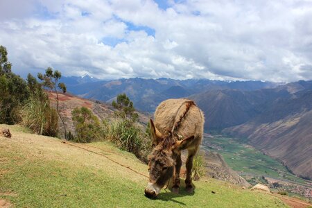 Donkey view hiking