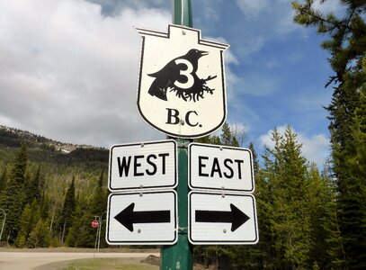 Black bird route