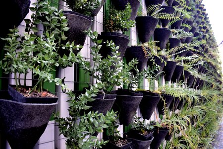 Nature stone wall
