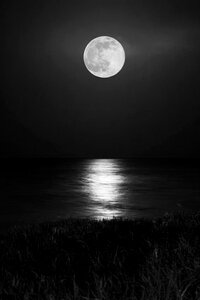 Moon and river 2