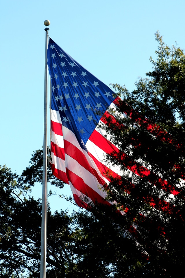 America stripes stars