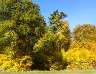 Nature bike meadow photo