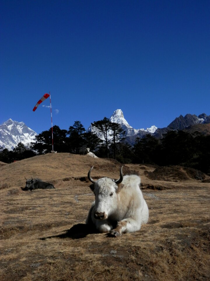 Everest lhotse nepal