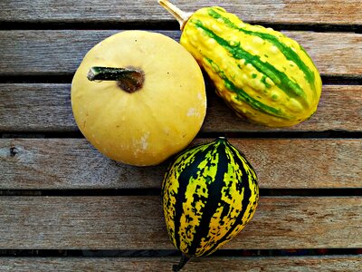 The cultivation of nature autumn