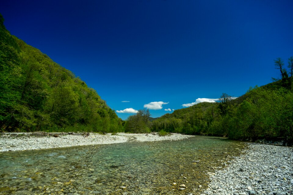 Water river bank forest