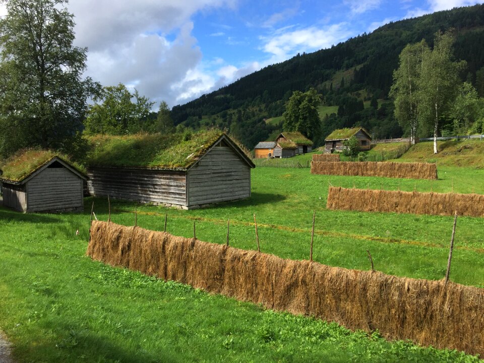 Landscape agriculture old houses