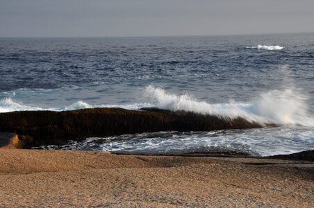 Cape breton east coast living photo