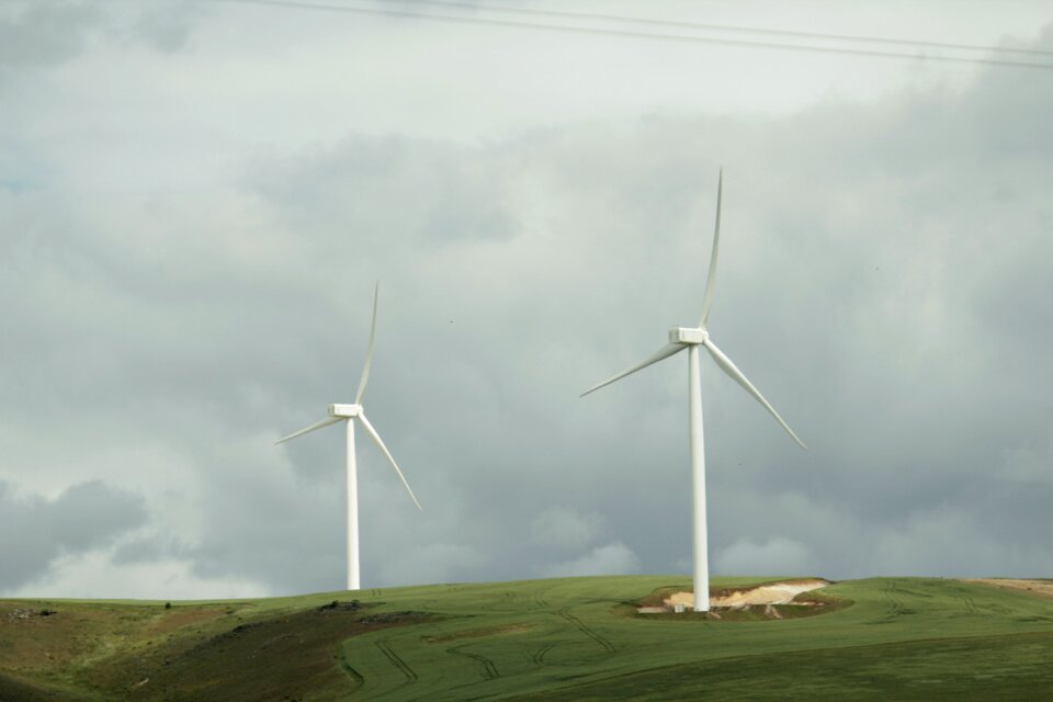 Wind mill agriculture