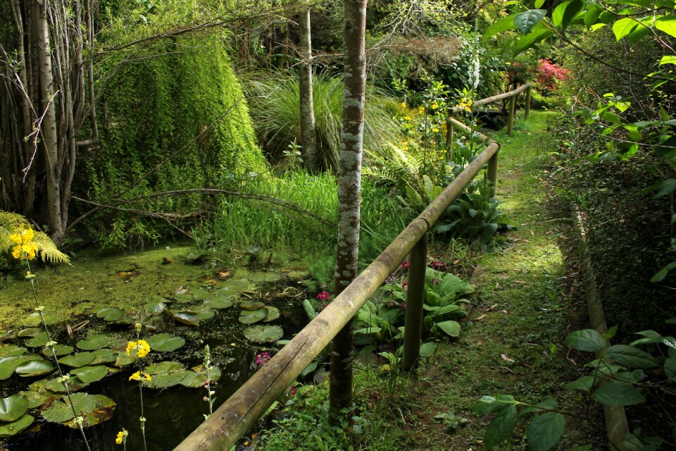 Nature water landscape