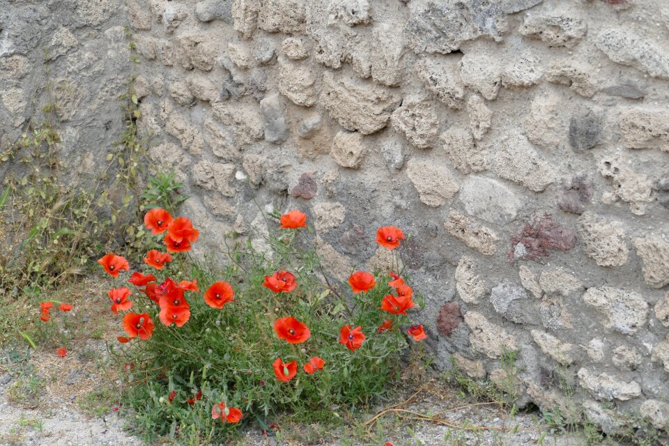 Antiquity places of interest tourism