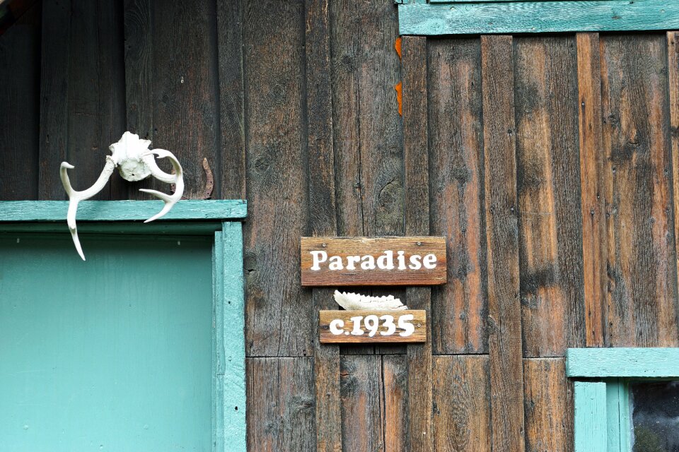 Texture vintage paradise