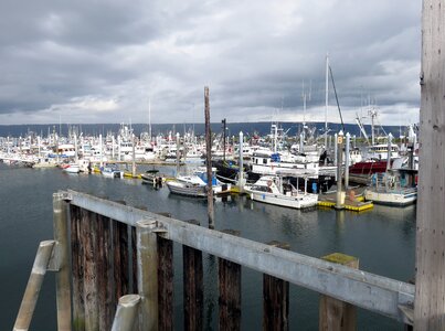 Boats fishing dock