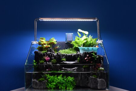 Internet of things high tech smart home