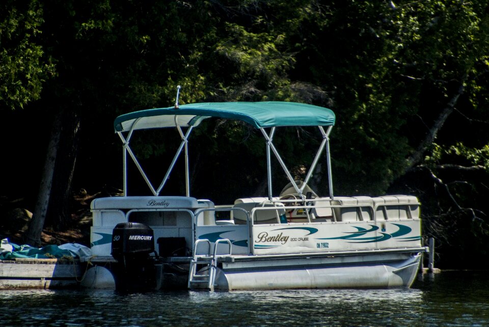 Nature boat black boat