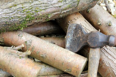 Timber wood log photo