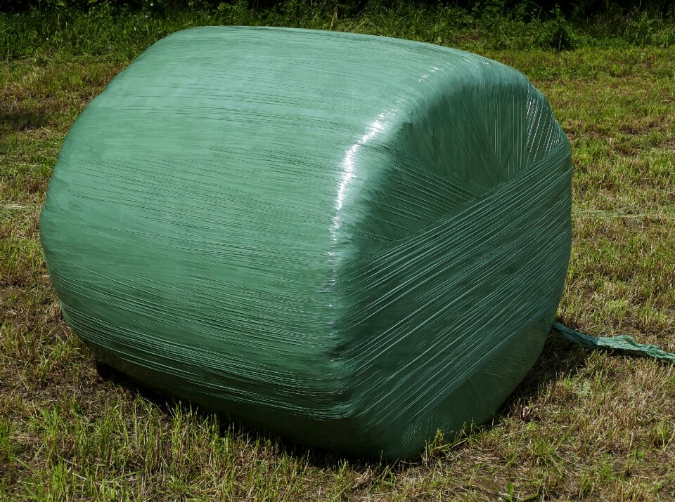 Gärfutter feed green feed grass silage