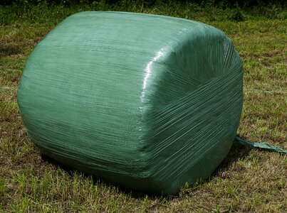Gärfutter feed green feed grass silage