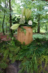 Forest funeral tree burial cemetery