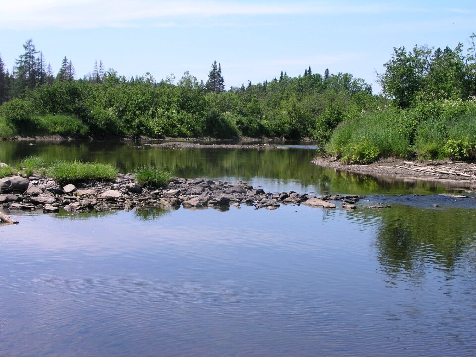 Water nature natural photo