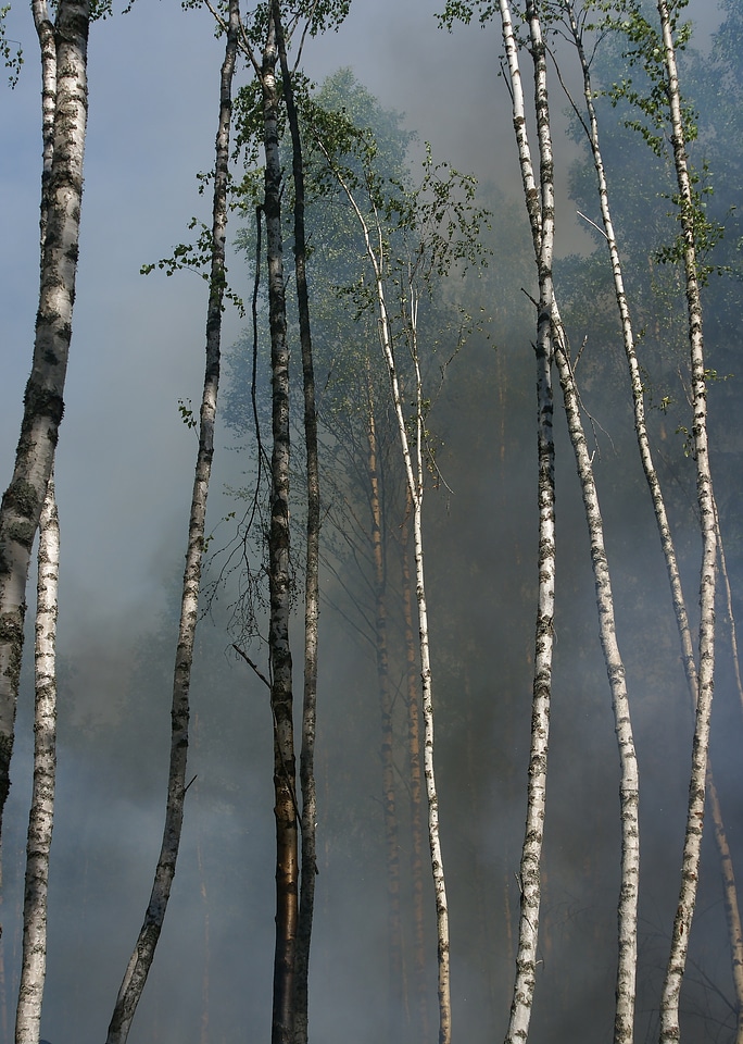 Båtfors smoke burning