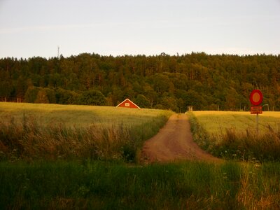 Summer hill barn photo