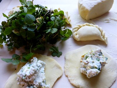 Herbs austrian cuisine tasty