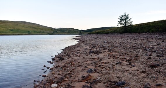 Sand rocks shore