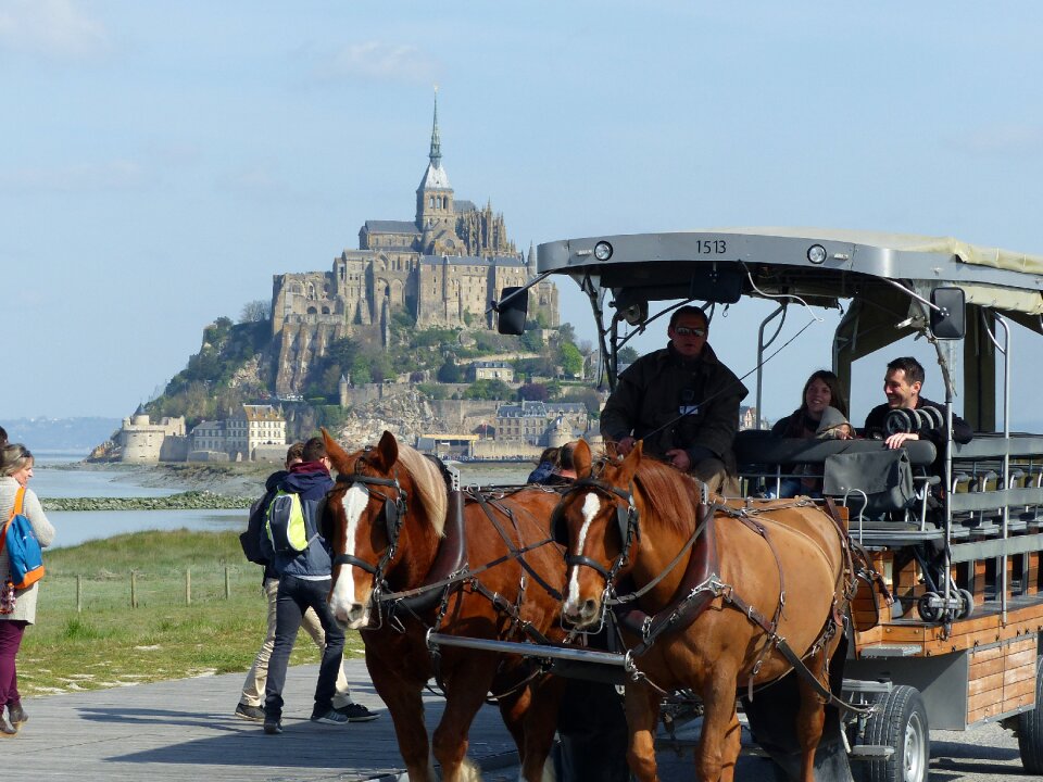 Horses transport passengers