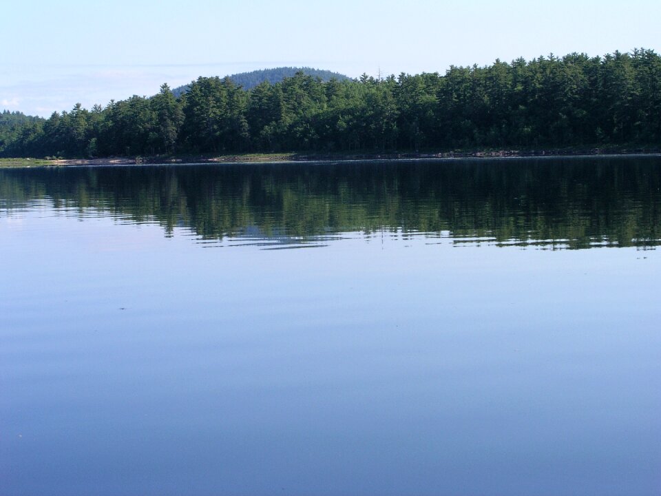 Pond lake