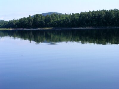 Pond lake