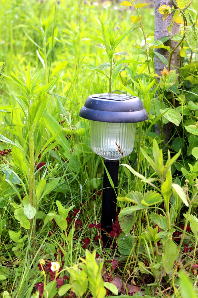 Outdoor power lamp