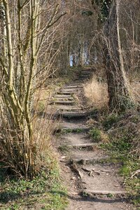 Landscape path walkway