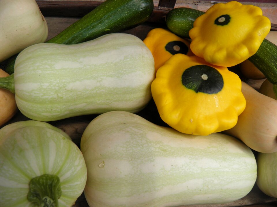Butternut vegetables fresh