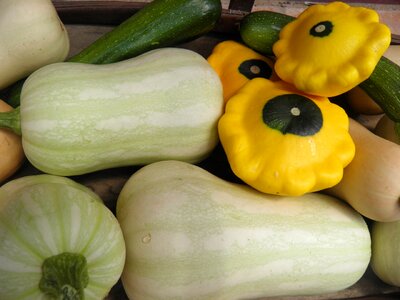 Butternut vegetables fresh