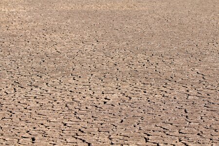 Dehydrated dry swamp