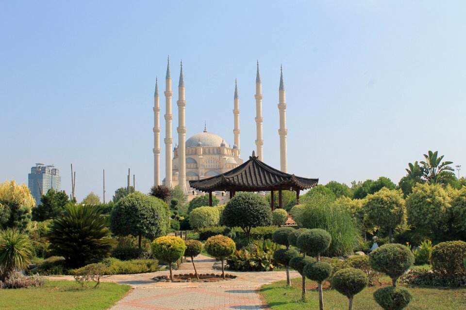 Central park turkey